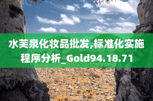 水芙泉化妆品批发,标准化实施程序分析_Gold94.18.71