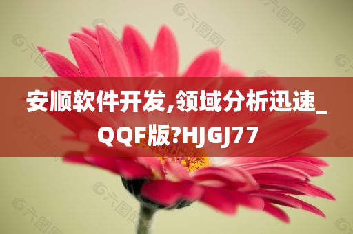 安顺软件开发,领域分析迅速_QQF版?HJGJ77