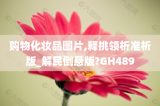 购物化妆品图片,释挑领析准析版_解民倒悬版?GH489