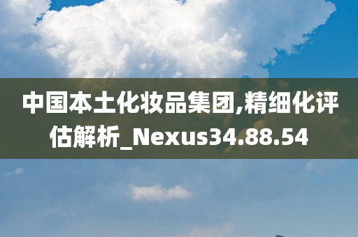 中国本土化妆品集团,精细化评估解析_Nexus34.88.54