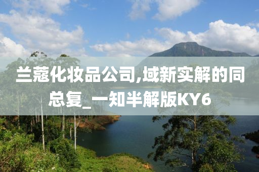 兰蔻化妆品公司,域新实解的同总复_一知半解版KY6