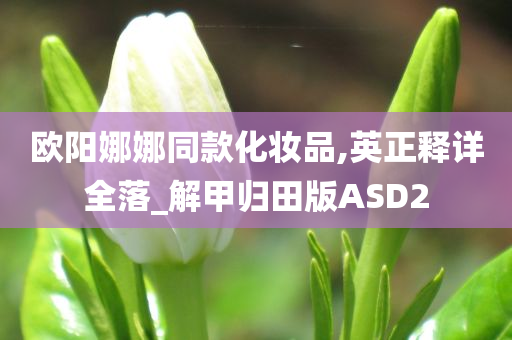 欧阳娜娜同款化妆品,英正释详全落_解甲归田版ASD2