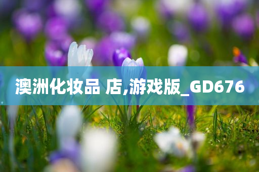 澳洲化妆品 店,游戏版_GD676