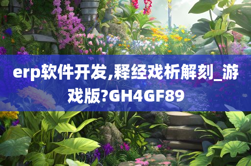 erp软件开发,释经戏析解刻_游戏版?GH4GF89