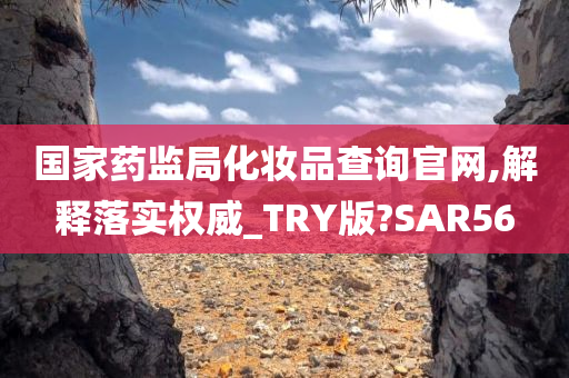 国家药监局化妆品查询官网,解释落实权威_TRY版?SAR56