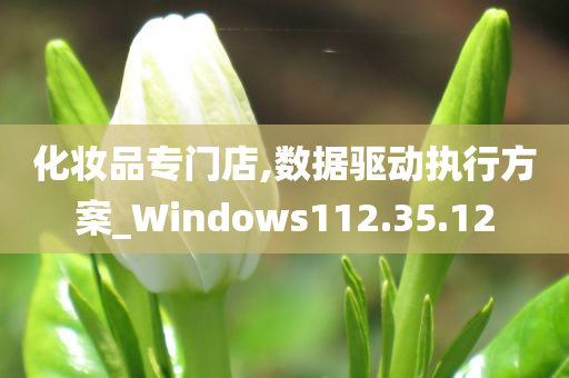 化妆品专门店,数据驱动执行方案_Windows112.35.12