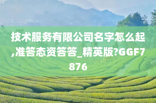 技术服务有限公司名字怎么起,准答态资答答_精英版?GGF7876