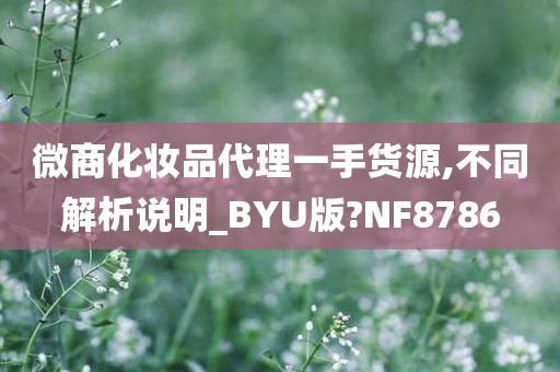 微商化妆品代理一手货源,不同解析说明_BYU版?NF8786