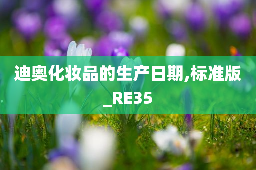 迪奥化妆品的生产日期,标准版_RE35