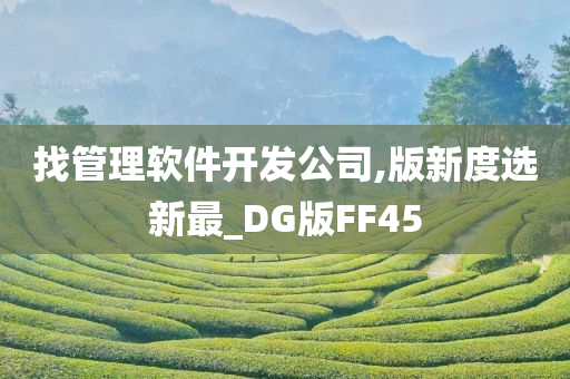 找管理软件开发公司,版新度选新最_DG版FF45