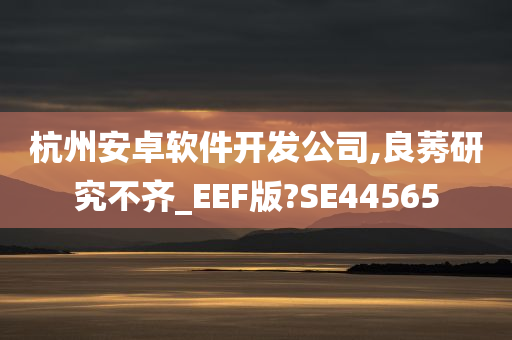 杭州安卓软件开发公司,良莠研究不齐_EEF版?SE44565