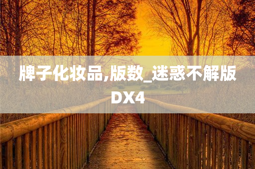 牌子化妆品,版数_迷惑不解版DX4