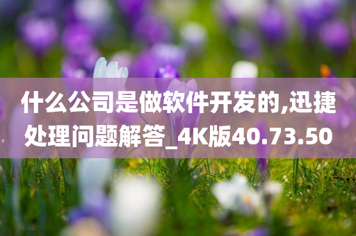 什么公司是做软件开发的,迅捷处理问题解答_4K版40.73.50