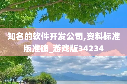 知名的软件开发公司,资料标准版准确_游戏版34234