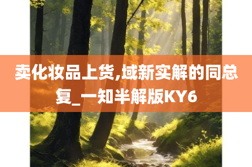 卖化妆品上货,域新实解的同总复_一知半解版KY6