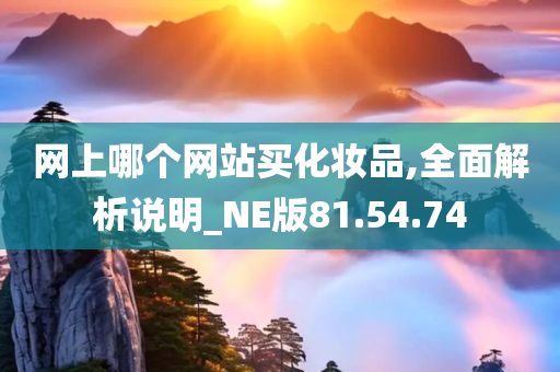 网上哪个网站买化妆品,全面解析说明_NE版81.54.74