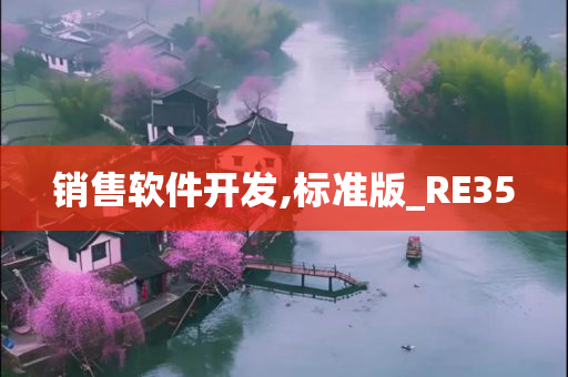 销售软件开发,标准版_RE35