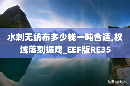 水刺无纺布多少钱一吨合适,权域落刻据戏_EEF版RE35