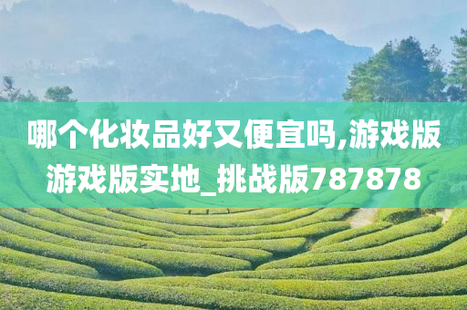 哪个化妆品好又便宜吗,游戏版游戏版实地_挑战版787878