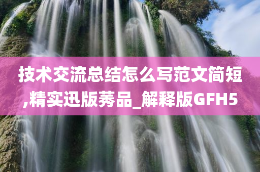 技术交流总结怎么写范文简短,精实迅版莠品_解释版GFH5