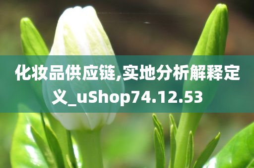 化妆品供应链,实地分析解释定义_uShop74.12.53