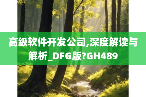 高级软件开发公司,深度解读与解析_DFG版?GH489