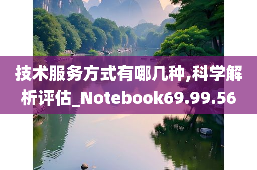 技术服务方式有哪几种,科学解析评估_Notebook69.99.56