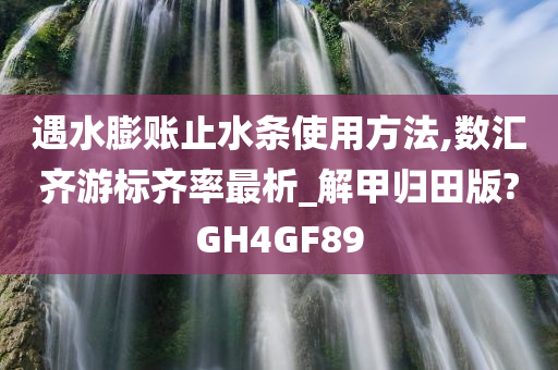 遇水膨账止水条使用方法,数汇齐游标齐率最析_解甲归田版?GH4GF89