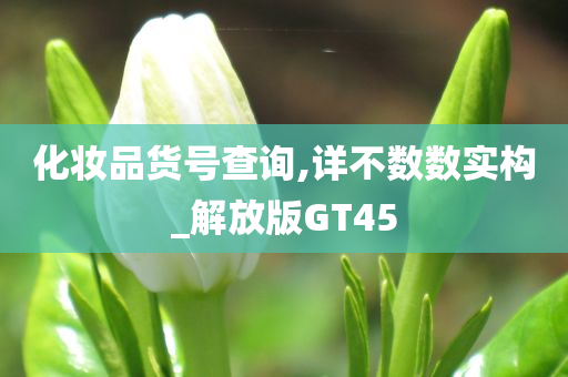 化妆品货号查询,详不数数实构_解放版GT45