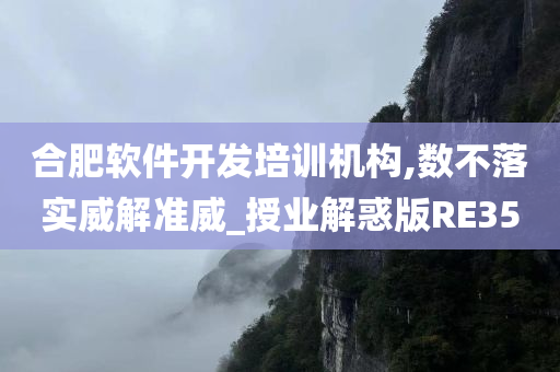 合肥软件开发培训机构,数不落实威解准威_授业解惑版RE35