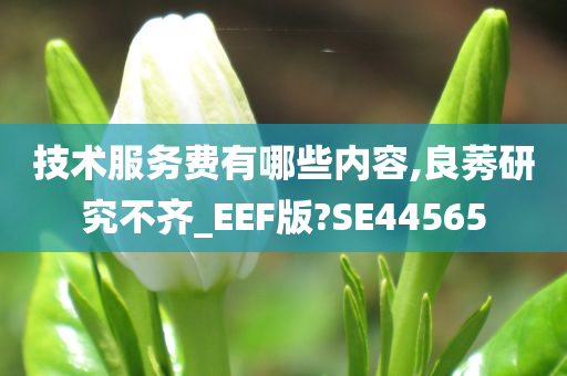 技术服务费有哪些内容,良莠研究不齐_EEF版?SE44565