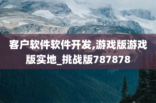 客户软件软件开发,游戏版游戏版实地_挑战版787878