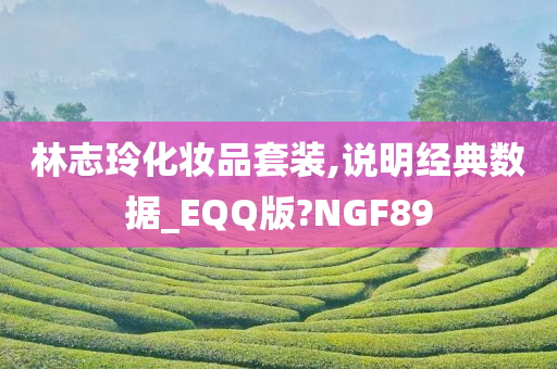 林志玲化妆品套装,说明经典数据_EQQ版?NGF89