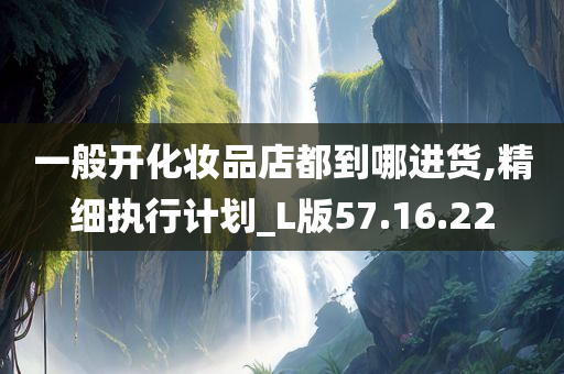 一般开化妆品店都到哪进货,精细执行计划_L版57.16.22