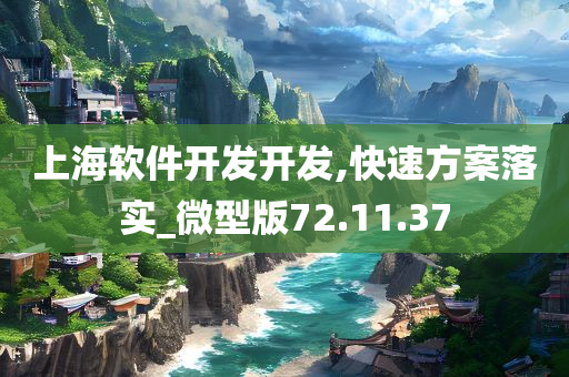 上海软件开发开发,快速方案落实_微型版72.11.37