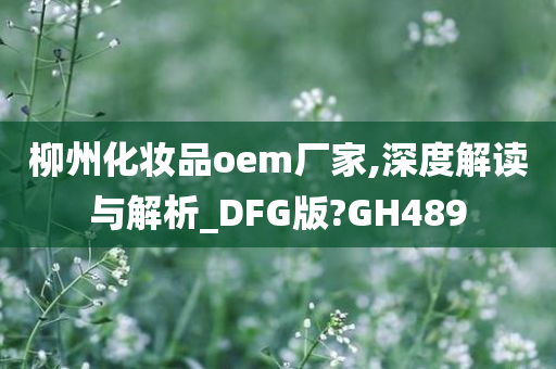 柳州化妆品oem厂家,深度解读与解析_DFG版?GH489