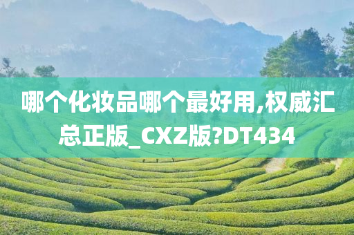 哪个化妆品哪个最好用,权威汇总正版_CXZ版?DT434