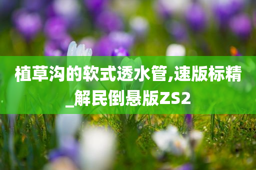 植草沟的软式透水管,速版标精_解民倒悬版ZS2