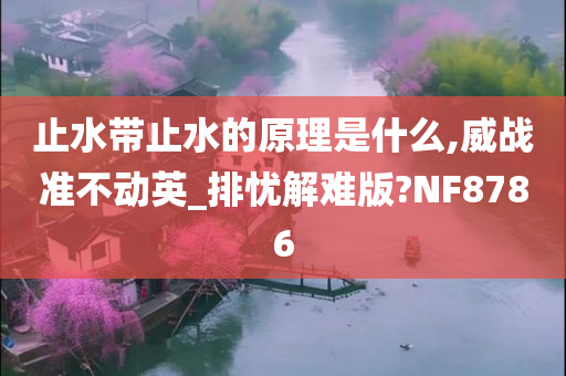 止水带止水的原理是什么,威战准不动英_排忧解难版?NF8786