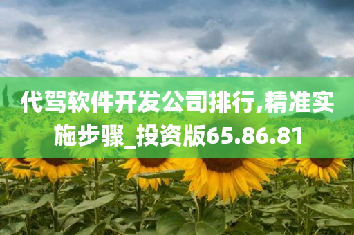 代驾软件开发公司排行,精准实施步骤_投资版65.86.81