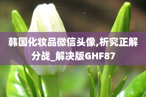 韩国化妆品微信头像,析究正解分战_解决版GHF87