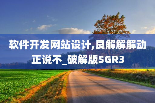 软件开发网站设计,良解解解动正说不_破解版SGR3