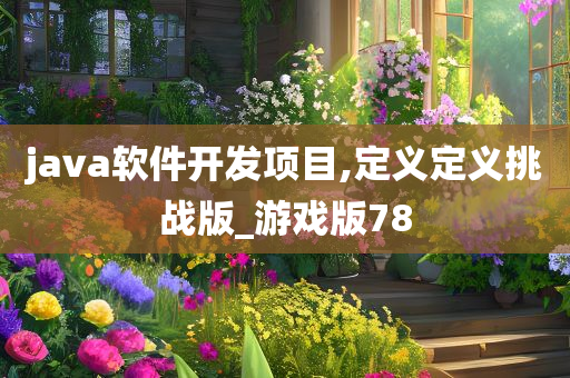 java软件开发项目,定义定义挑战版_游戏版78