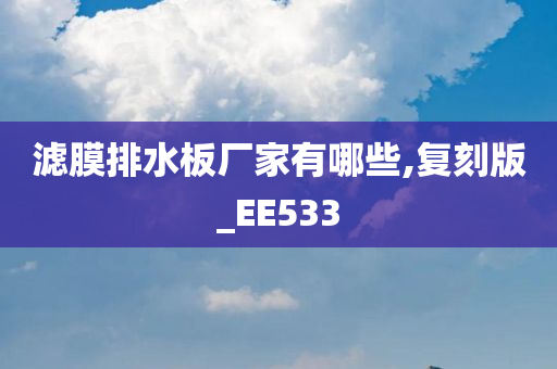 滤膜排水板厂家有哪些,复刻版_EE533