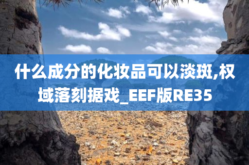 什么成分的化妆品可以淡斑,权域落刻据戏_EEF版RE35