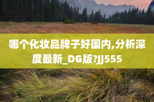 哪个化妆品牌子好国内,分析深度最新_DG版?JJ555