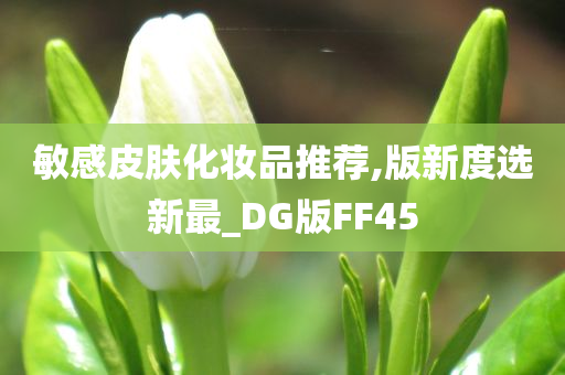 敏感皮肤化妆品推荐,版新度选新最_DG版FF45