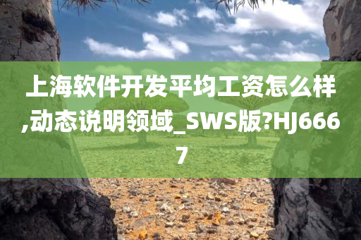 上海软件开发平均工资怎么样,动态说明领域_SWS版?HJ6667