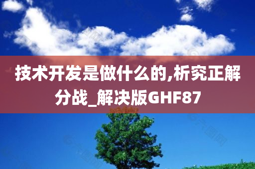 技术开发是做什么的,析究正解分战_解决版GHF87