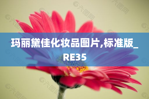 玛丽黛佳化妆品图片,标准版_RE35